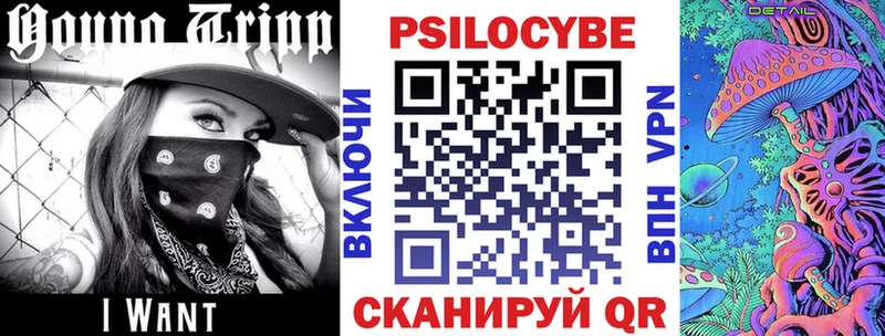 Псилоцибиновые грибы Psilocybe  Челябинск 